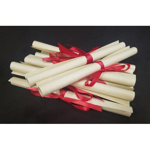 8 1/2 x 11 Discounted Blank Rolled Scrolls